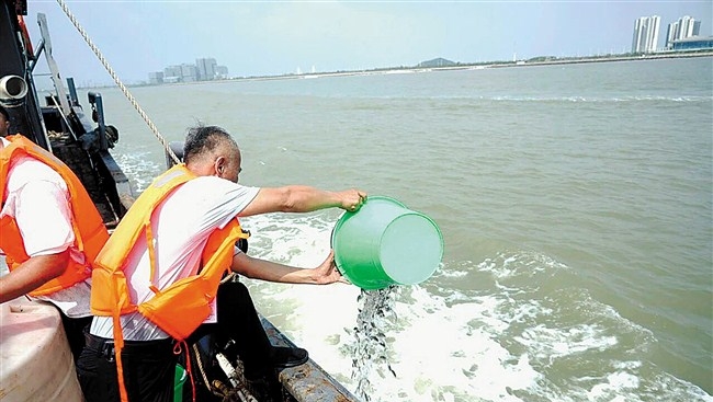 龙湖区举办外砂河口生态保护修复增殖放流活动