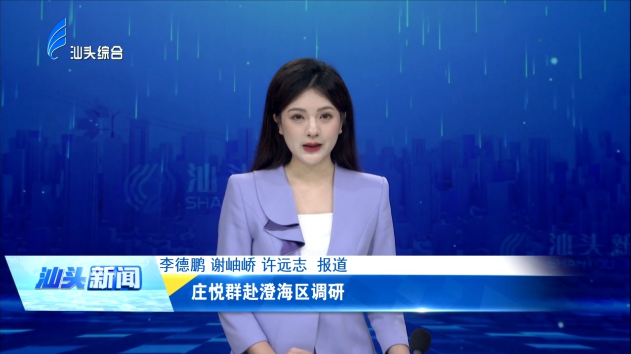 庄悦群赴澄海区调研