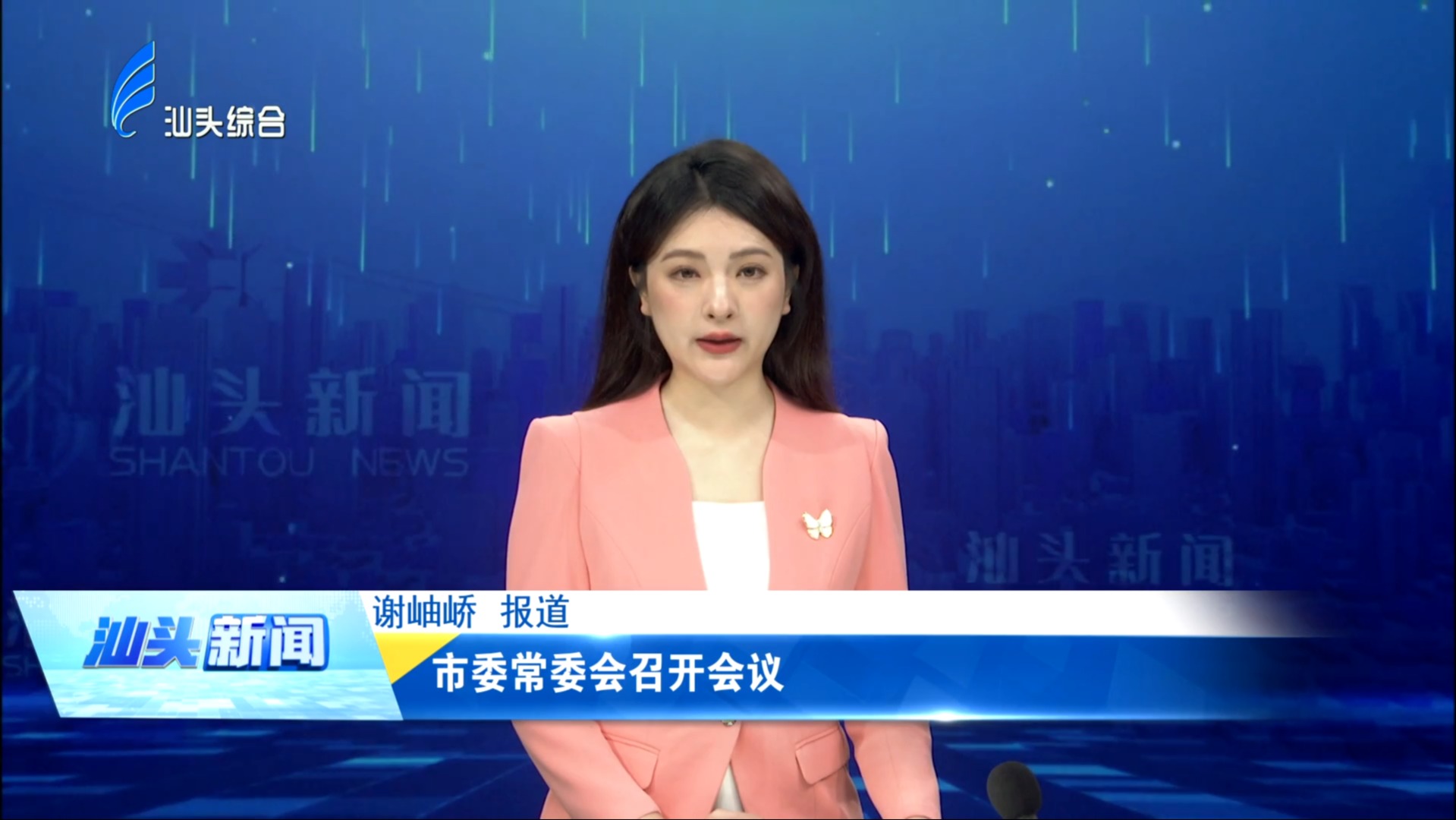 市委常委会召开会议