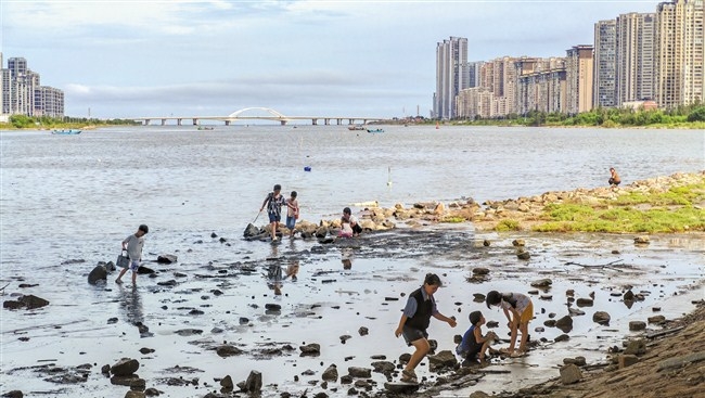河道滩涂藏隐患 夏日亲水莫冒险