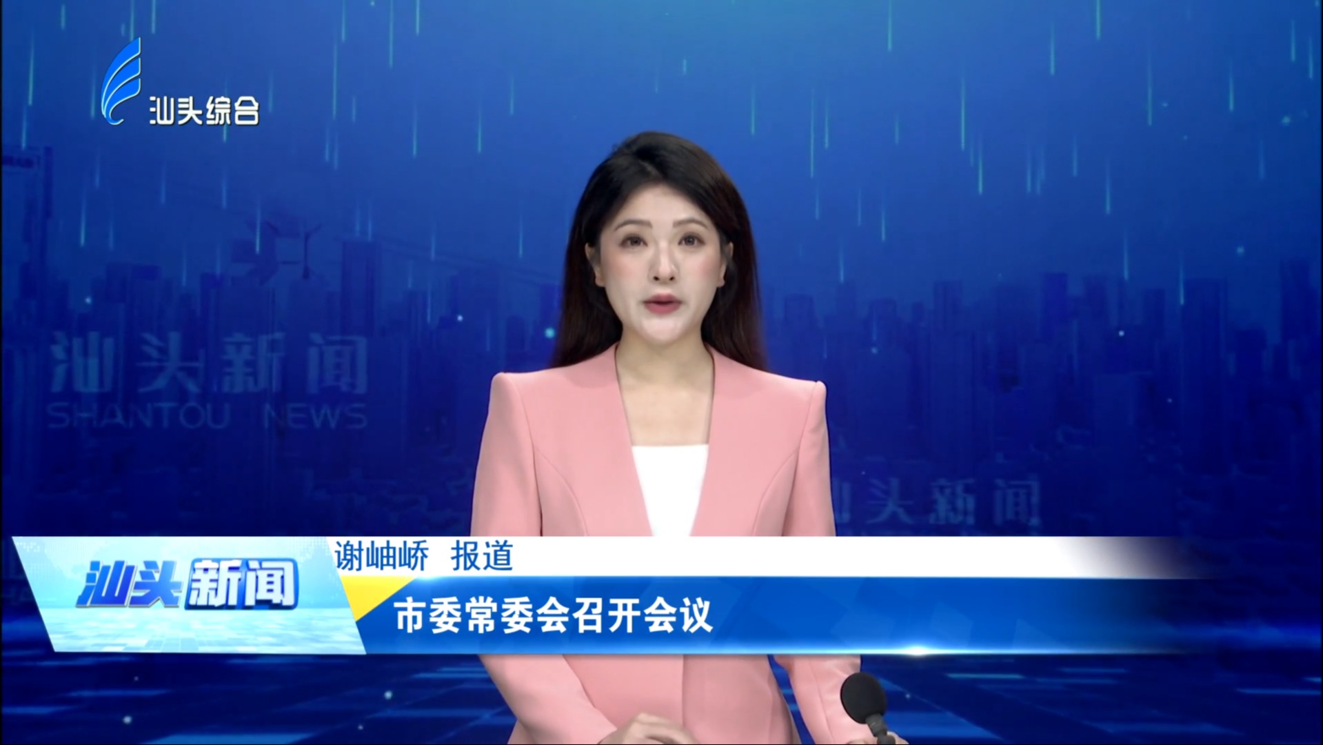市委常委会召开会议