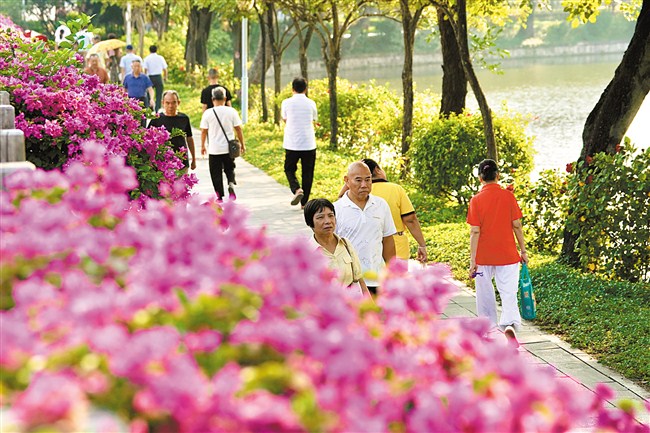 繁花长廊醉游人